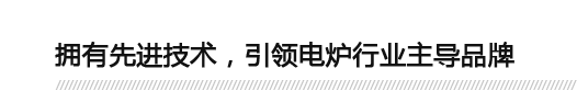 擁有先進(jìn)技術(shù)，引領(lǐng)電爐行業(yè)主導(dǎo)品牌